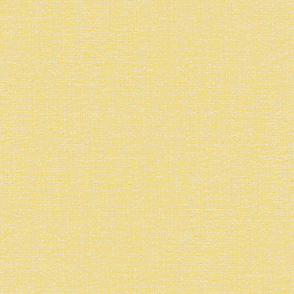 Favone Ivory by Kravet Basics Fabric