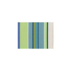 Cummerbund Tropicale by Kravet Couture Fabric