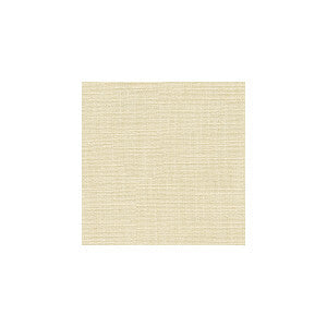 Magnifique Snow by Kravet Smart Fabric