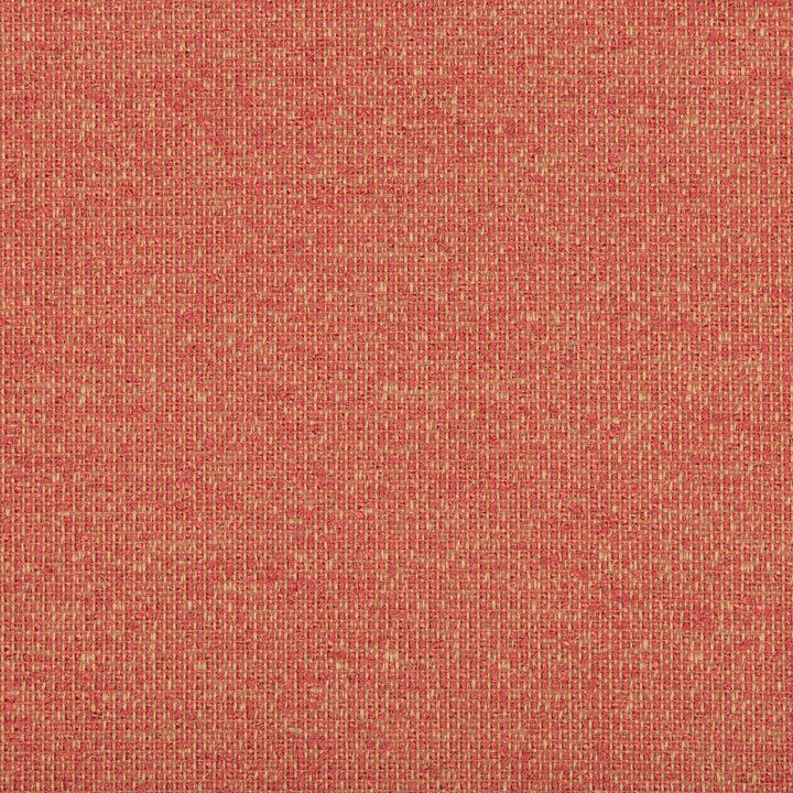 Accolade Watermelon by Kravet Contract Fabric GIS CRYPTON RAYON - 61%;POLYESTER - 23%;COTTON - 15%;NYLON - 1% United States HEAVY Horizontal: 0 and Vertical: 0 54 - Fabric Carolina -