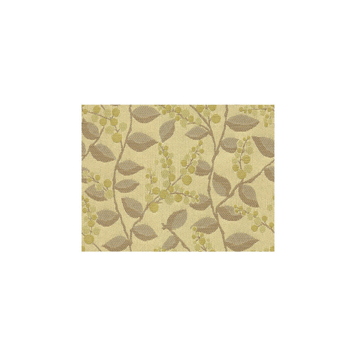 Vine Drive Lemongrass by Kravet Contract Fabric CONTRACT GIS POLYESTER - 67%;RAYON - 33% United States HEAVY Horizontal: 9 and Vertical: 6 58.5 - Fabric Carolina -