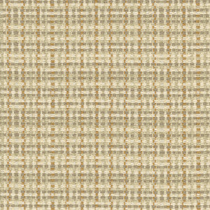 Checked Out 0 by Kravet Couture Fabric
