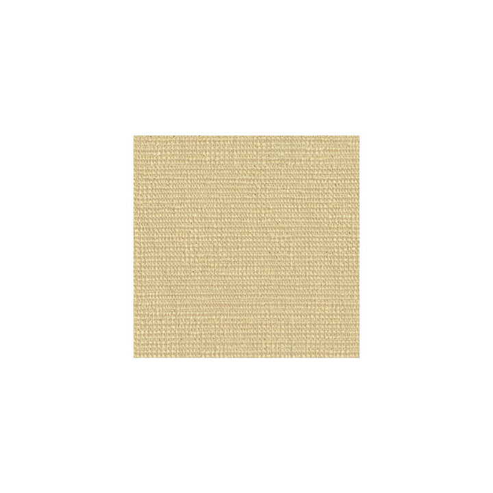 Beaming Tusk by Kravet Contract Fabric CONTRACT GIS RECYCLED POLYESTER - 66%;POLYESTER - 27%;RAYON - 6%;METALLIC - 1% United States HEAVY Horizontal: and Vertical: 54.5 - Fabric Carolina -
