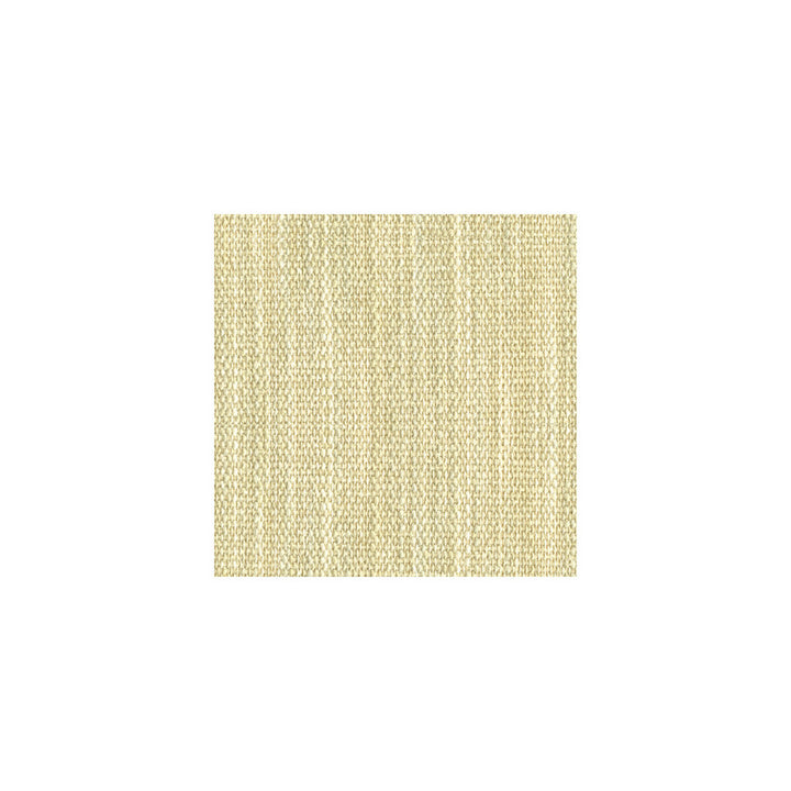 31595-1 by Kravet Basics Fabric - RAYON - 79%;POLYESTER - 21% China HEAVY Horizontal: - and Vertical: - 55 - Fabric Carolina -