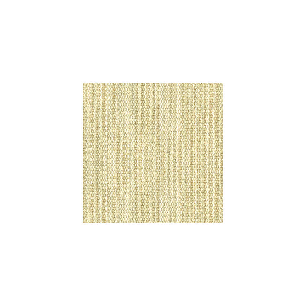 31595-1 by Kravet Basics Fabric RAYON - 79%;POLYESTER - 21% China HEAVY Horizontal: and Vertical: 55 - Fabric Carolina -