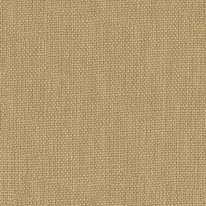 Kravet Basics 31623-1666 by Kravet Basics Fabric