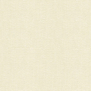 Kravet Smart 31682-101 by Kravet Smart Fabric