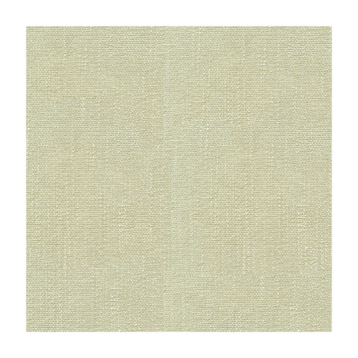 31682-1100 by Kravet Smart Fabric POLYESTER - 100% China HEAVY Horizontal: 0 and Vertical: 0 56 - Fabric Carolina -