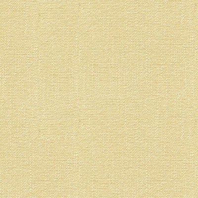 Kravet Smart 31682-111 by Kravet Smart Fabric