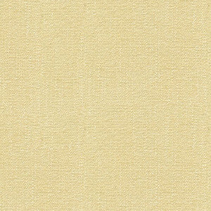 Kravet Smart 31682-111 by Kravet Smart Fabric