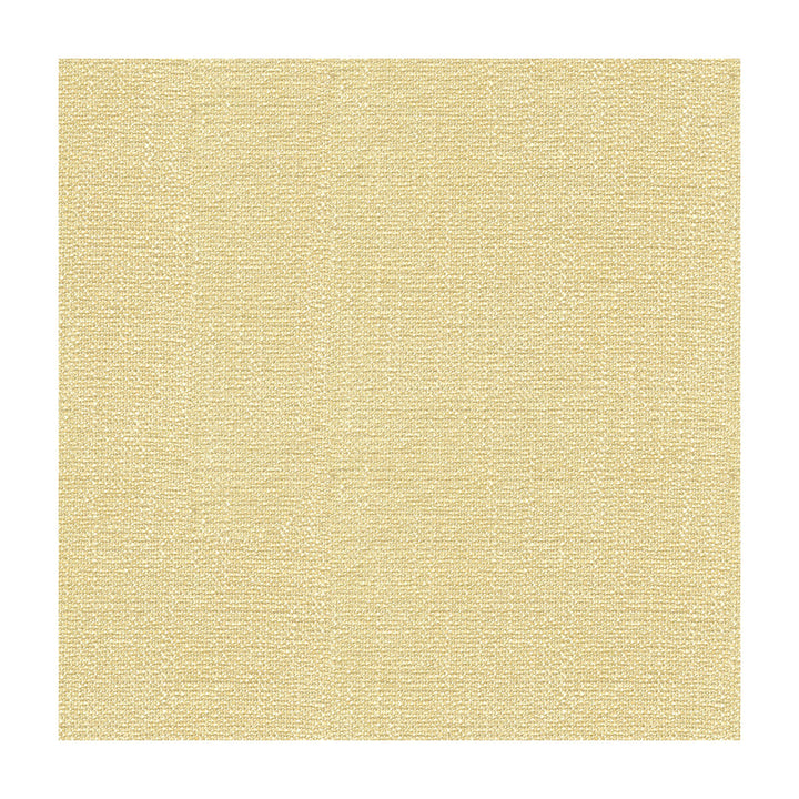 31682-111 by Kravet Smart Fabric POLYESTER - 100% China HEAVY Horizontal: 0 and Vertical: 0 56 - Fabric Carolina -