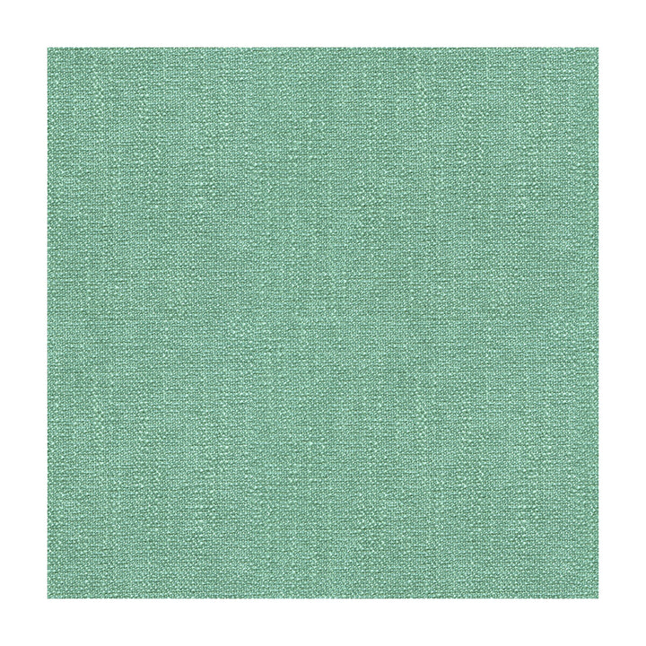 31682-115 by Kravet Smart Fabric - POLYESTER - 100% China HEAVY Horizontal: 0 and Vertical: 0 56 - Fabric Carolina -