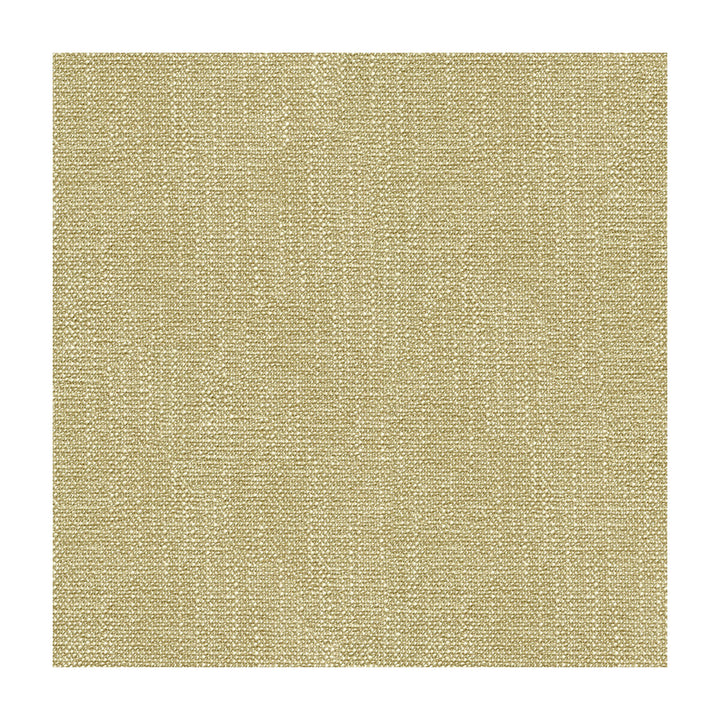 31682-1601 by Kravet Smart Fabric POLYESTER - 100% China HEAVY Horizontal: 0 and Vertical: 0 56 - Fabric Carolina -