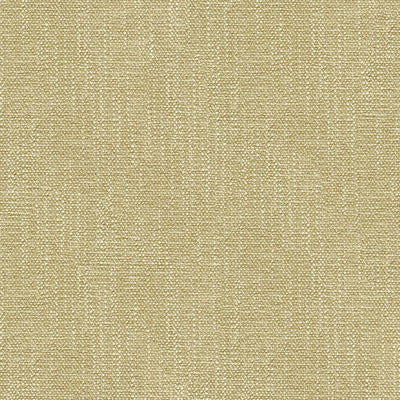 Kravet Smart 31682-1601 by Kravet Smart Fabric