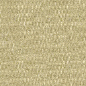 Kravet Smart 31682-1601 by Kravet Smart Fabric
