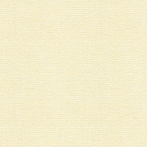 Kravet Smart 31682-1 by Kravet Smart Fabric