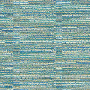 31695-113 by Kravet Couture Fabric