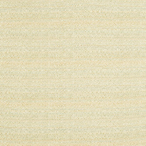 Melanger Vapor by Kravet Couture Fabric