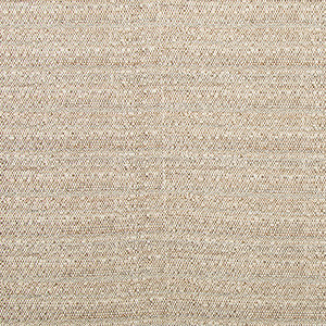 Melanger Driftwood by Kravet Couture Fabric