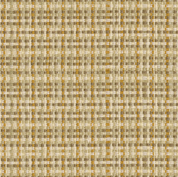 Esquire Cashew by Kravet Couture Fabric