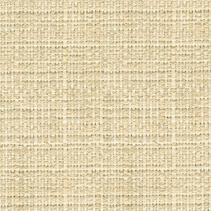 31747.101.0 by Kravet Fabric
