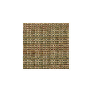 31747.316.0 by Kravet Fabric