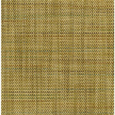 31754.23.0 by Kravet Fabric Kravet Fabric 31754.23.0Fabric POLYESTER - 100% United States </p><p>Repeat: H: , V: 54 - Fabric Carolina -