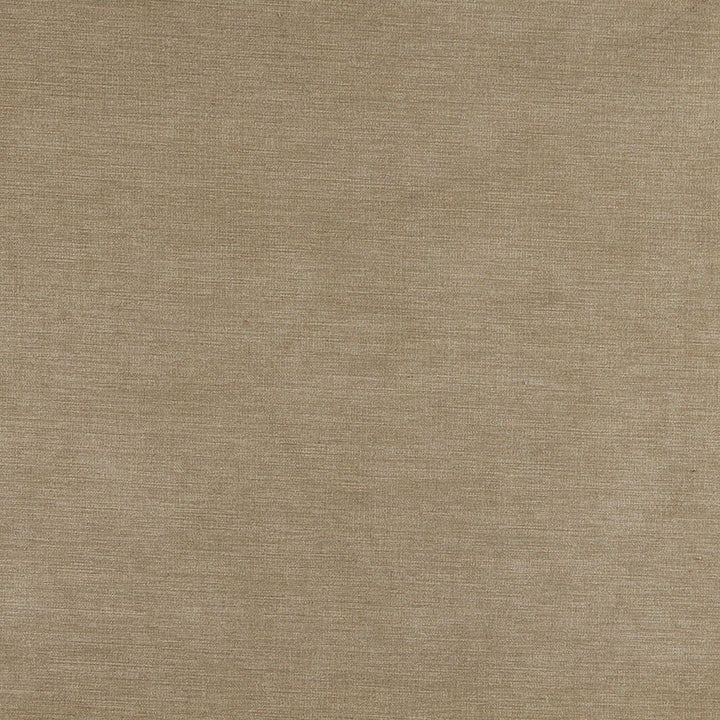 3176 Sand by Charlotte Fabric Ring Book Page #8 90% Polyester, 10% Nylon Asia Exceeds 60,000 Wyzenbeek Rubs (Heavy Duty) No Repeat 54 Inches - Fabric Carolina -