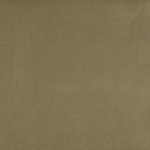 3180 Sage by Charlotte Fabric