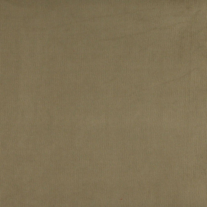 3180 Sage by Charlotte Fabric Ring Book Page #7 90% Polyester, 10% Nylon Asia Exceeds 300,000 Wyzenbeek Rubs (Heavy Duty) </p><p>Repeat: No Repeat 54 Inches - Fabric Carolina -
