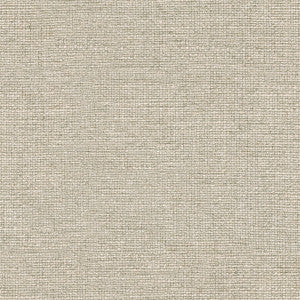 Plush Linen Stone by Kravet Couture Fabric