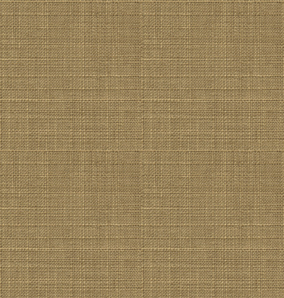 Tamil Caramel by Kravet Design Fabric