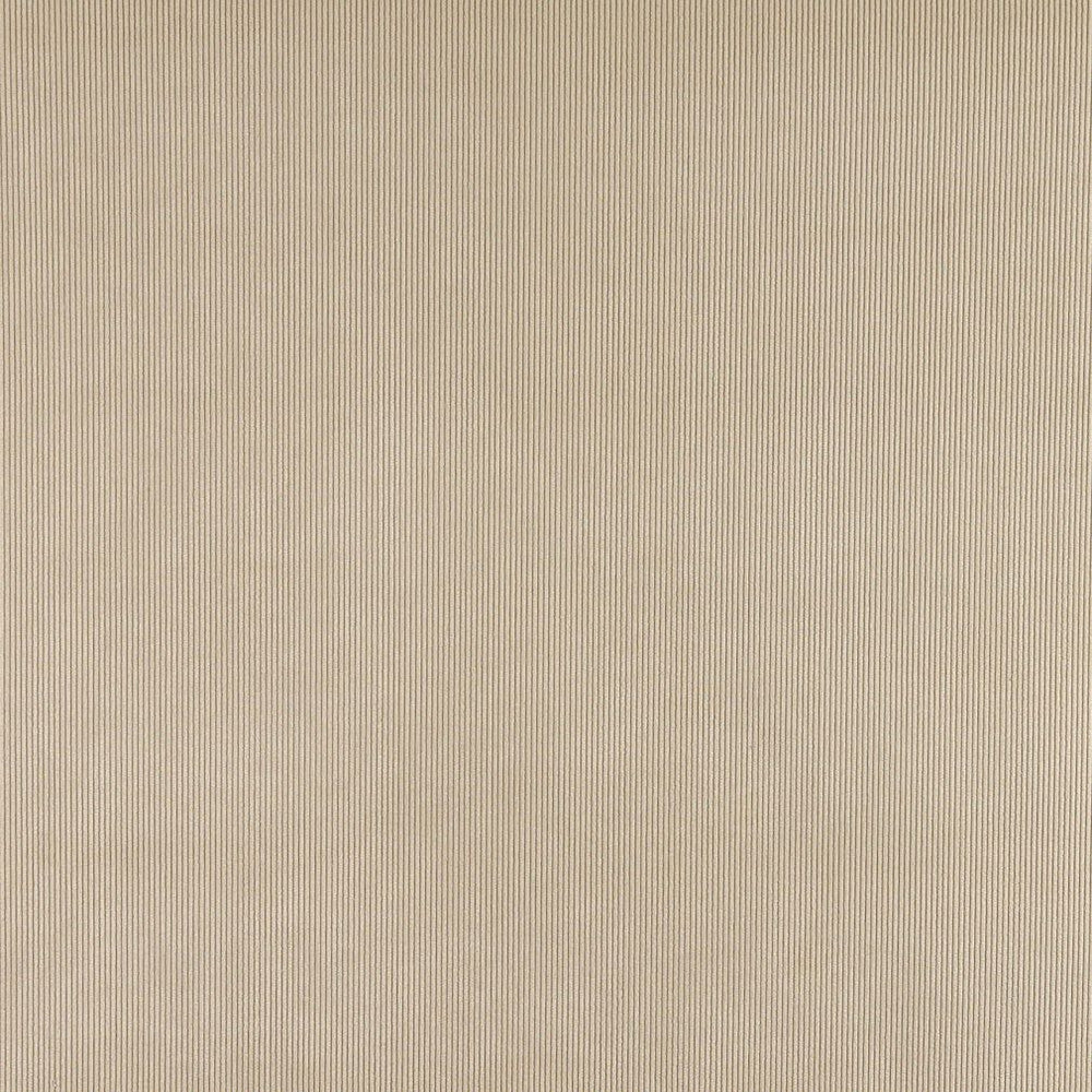 3183 Sand by Charlotte Fabric Ring Book Page #7 90% Polyester, 10% Nylon Asia Exceeds 60,000 Wyzenbeek Rubs (Heavy Duty) No Repeat 54 Inches - Fabric Carolina -