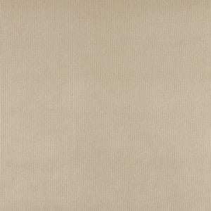 3183 Sand by Charlotte Fabric