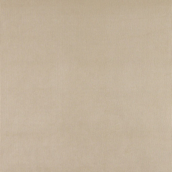 3183 Sand by Charlotte Fabric Ring Book Page #7 90% Polyester, 10% Nylon Asia Exceeds 60,000 Wyzenbeek Rubs (Heavy Duty) No Repeat 54 Inches - Fabric Carolina -