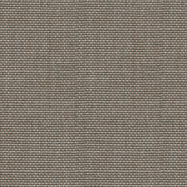 Avec Amour Silver by Kravet Design Fabric