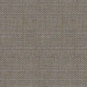 Avec Amour Silver by Kravet Design Fabric