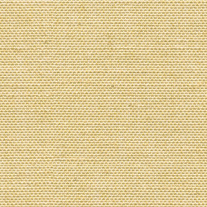 Avec Amour Gold by Kravet Design Fabric