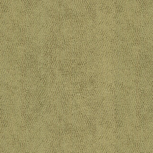 Baci Moondust by Kravet Basics Fabric