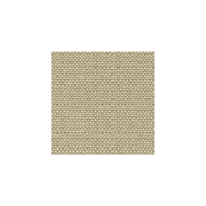 Enthusiasm Platinum by Kravet Design Fabric CANDICE OLSON COLLECTION RAYON - 70%;COTTON - 21%;LINEN - 9% United States MEDIUM Horizontal: - and Vertical: - 54 - Fabric Carolina -