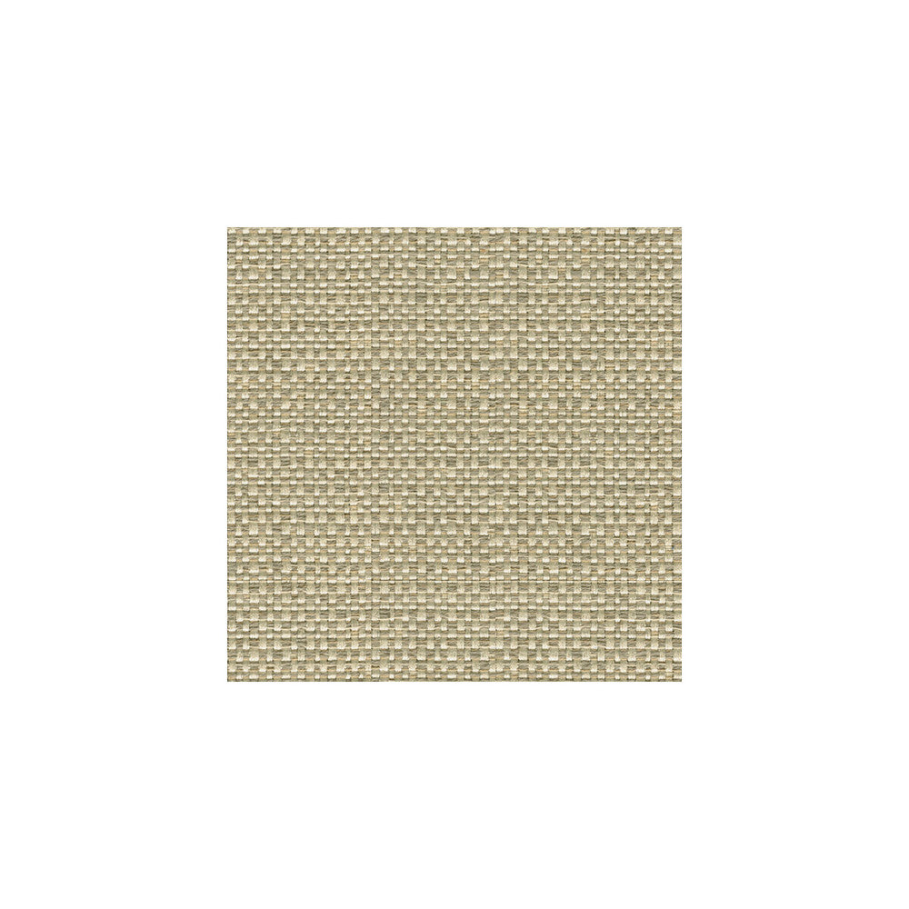 Enthusiasm Platinum by Kravet Design Fabric CANDICE OLSON COLLECTION RAYON - 70%;COTTON - 21%;LINEN - 9% United States MEDIUM Horizontal: - and Vertical: - 54 - Fabric Carolina -