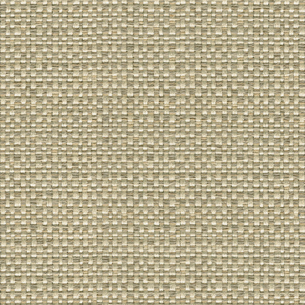 Enthusiasm Platinum by Kravet Design Fabric