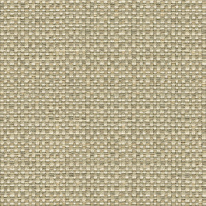 Enthusiasm Platinum by Kravet Design Fabric