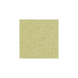 Enthusiasm Pear by Kravet Design Fabric