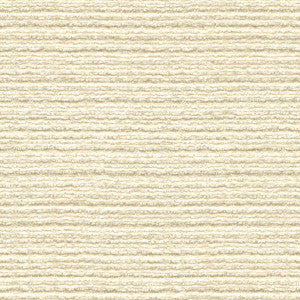 Meringue Froth by Kravet Basics Fabric