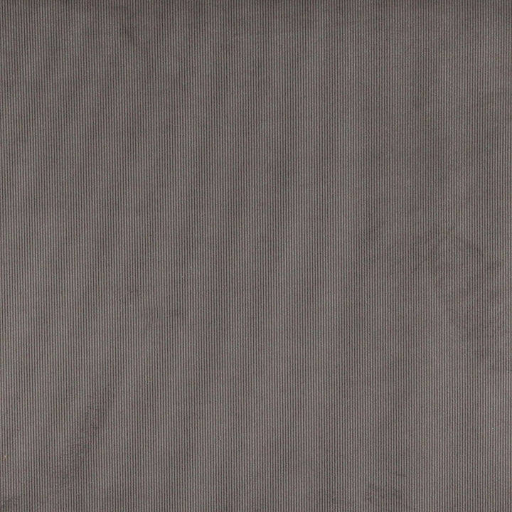 3187 Pewter by Charlotte Fabric Ring Book Page #7 90% Polyester, 10% Nylon Asia Exceeds 300,000 Wyzenbeek Rubs (Heavy Duty) </p><p>Repeat: No Repeat 54 Inches - Fabric Carolina -