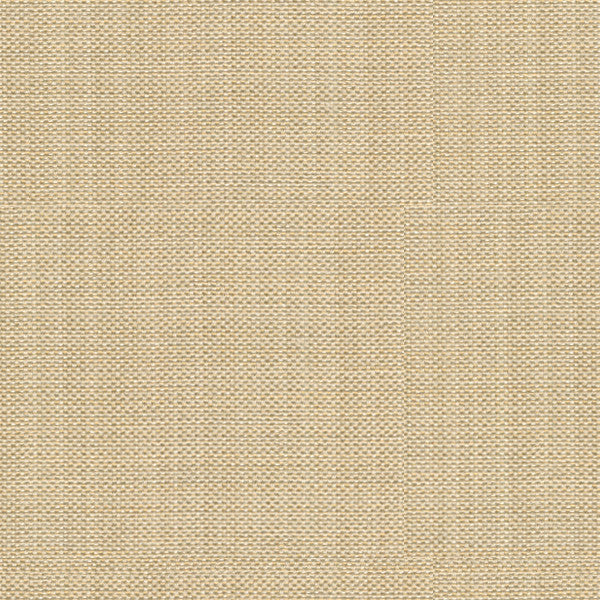 Pandan Sandstone by Kravet Basics Fabric