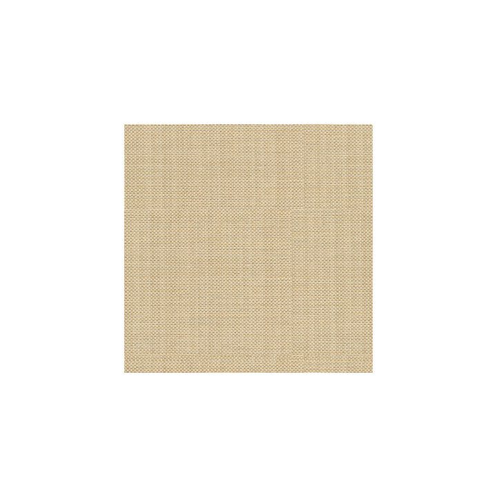 Pandan Sandstone by Kravet Basics Fabric CANDICE OLSON COLLECTION POLYESTER - 84%;COTTON - 16% India MEDIUM Horizontal: - and Vertical: - 54 - Fabric Carolina -