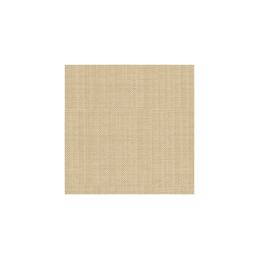 Pandan Sandstone by Kravet Basics Fabric CANDICE OLSON COLLECTION POLYESTER - 84%;COTTON - 16% India MEDIUM Horizontal: - and Vertical: - 54 - Fabric Carolina -