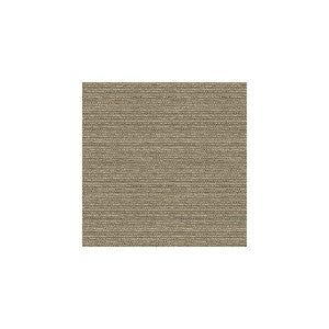 Changi Mica by Kravet Basics Fabric